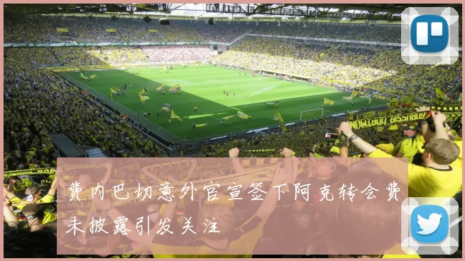 费内巴切意外官宣签下阿克转会费未披露引发关注