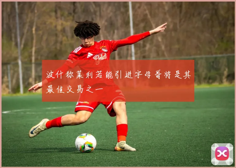 波什称莱利若能引进字母哥将是其最佳交易之一