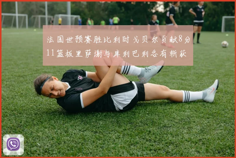 法国世预赛胜比利时戈贝尔贡献8分11篮板里萨谢与库利巴利各有斩获